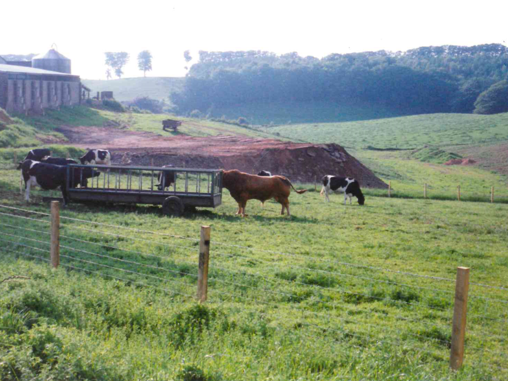 Brampton Skip Hire Cows Field